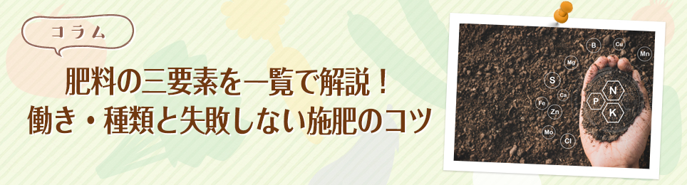 肥料の三要素を一覧で解説！働き・種類と失敗しない施肥のコツ
