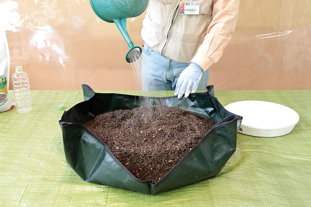 菌が活発になるためのえさと水で希釈した液肥をジョーロで加える。