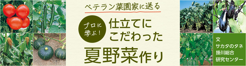ベテラン菜園家に送る プロに学ぶ！仕立てにこだわった夏野菜作り