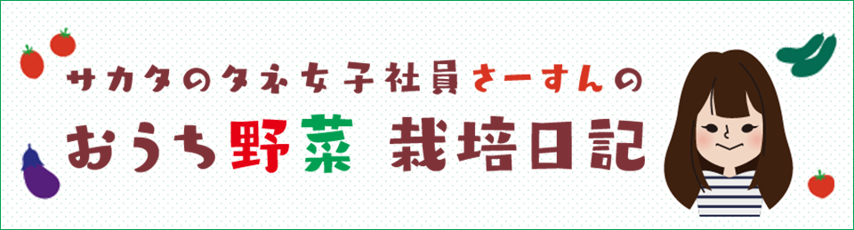 サカタのタネ女子社員 さーすんの『おうち野菜』栽培日記