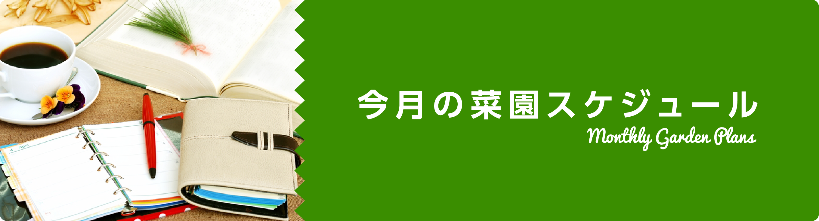 今月の菜園スケジュール