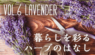 Vol.6 初夏を彩るハーブといえば！癒しのラベンダー｜暮らしを彩る