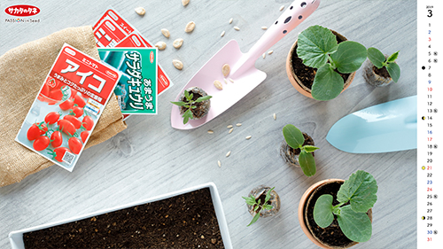 2019年3月の壁紙