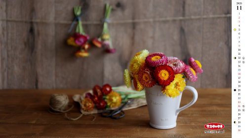 2025年11月の壁紙