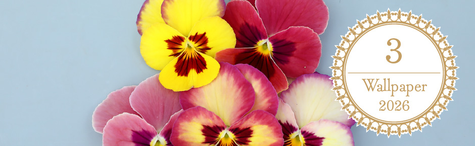 壁紙カレンダー