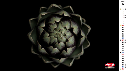 2026年5月の壁紙