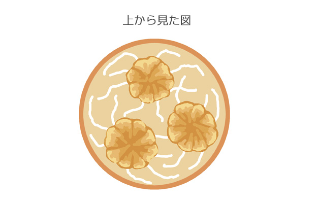 下根はよく広げて植える