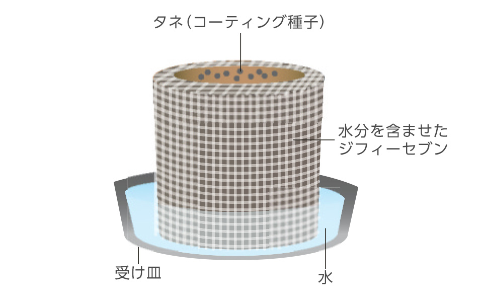 水分を含ませたジフィーセブンの表面を指先で平らにして種をばらまく