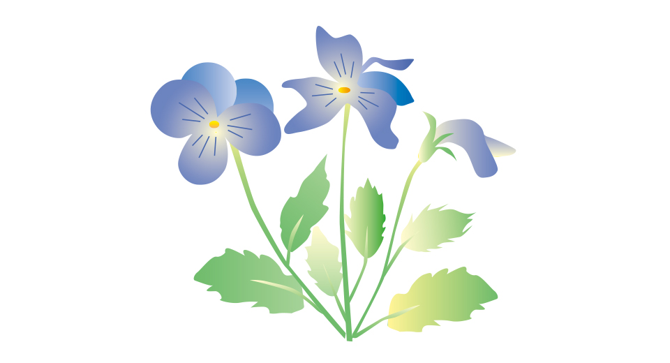 終わった花は花梗の元からかきとる