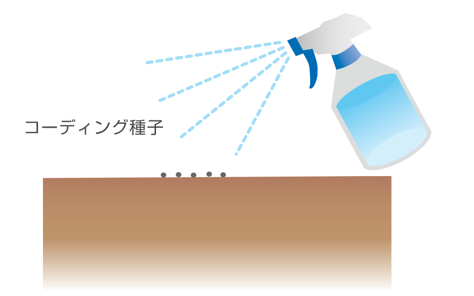 コーティング種子は、発芽するまで1日1回霧吹きで水をかける