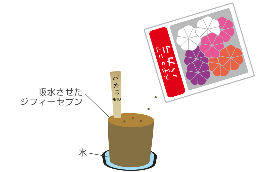 種はばらまきし、覆土しない