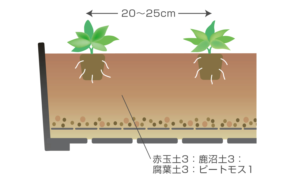 連作を避けるよう、新しい配合土を使う弱酸性～酸性の土がよい