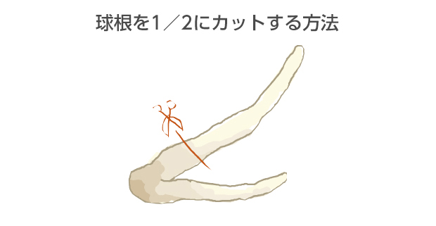 同じ重さになるように切断する。このように切ると、両方ほぼ同じ重さになる
