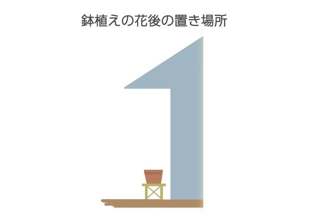葉が黄ばんだあと、鉢植えでも雨の当たる所に置くと球根が腐るので、雨の当たらない軒下へ置く土の上に直に置かないようにする