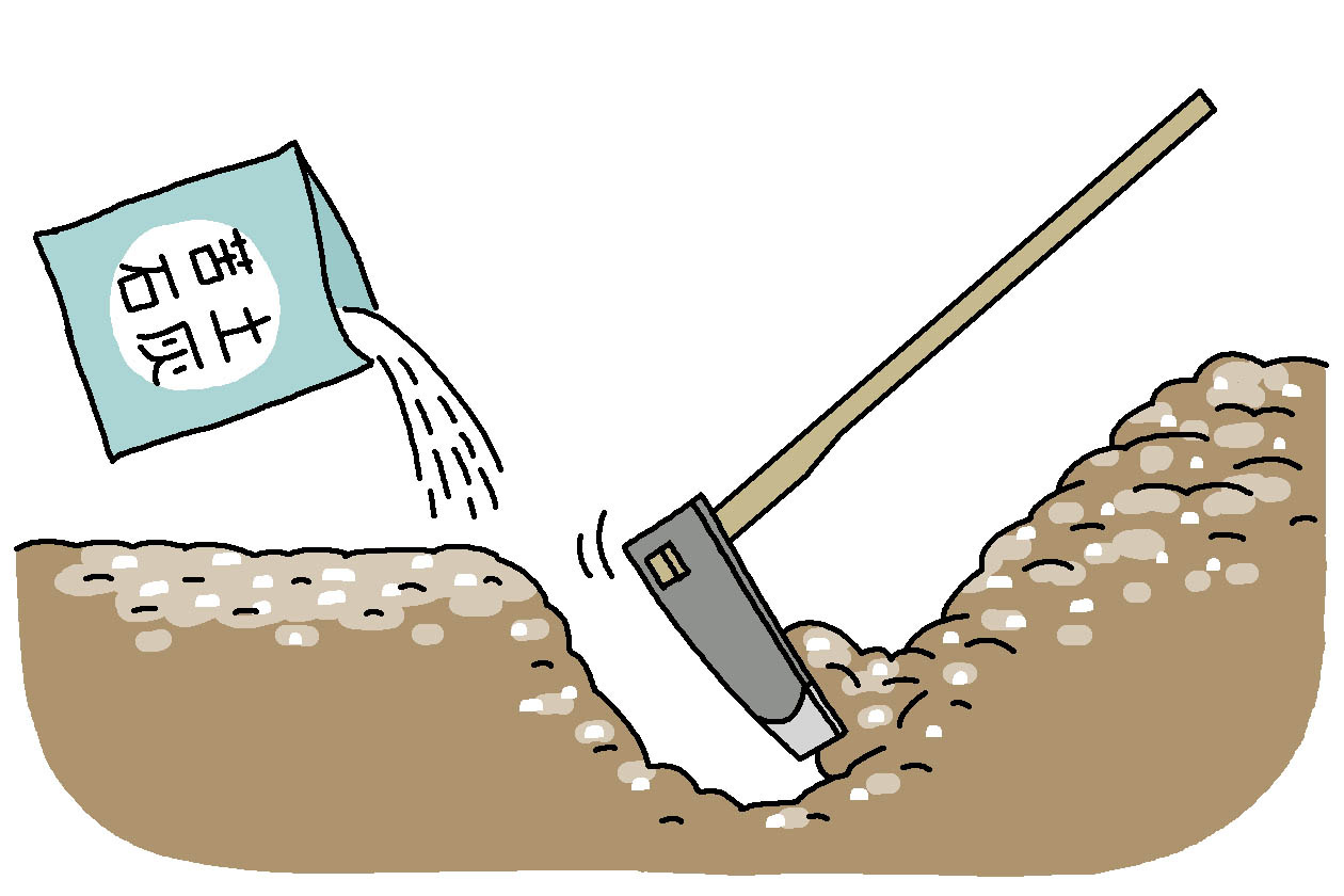 バジルは、種まきまたは定植の2週間以上前に酸度調整のため、苦土石灰を1平方メートル当たり100g全面散布して耕す