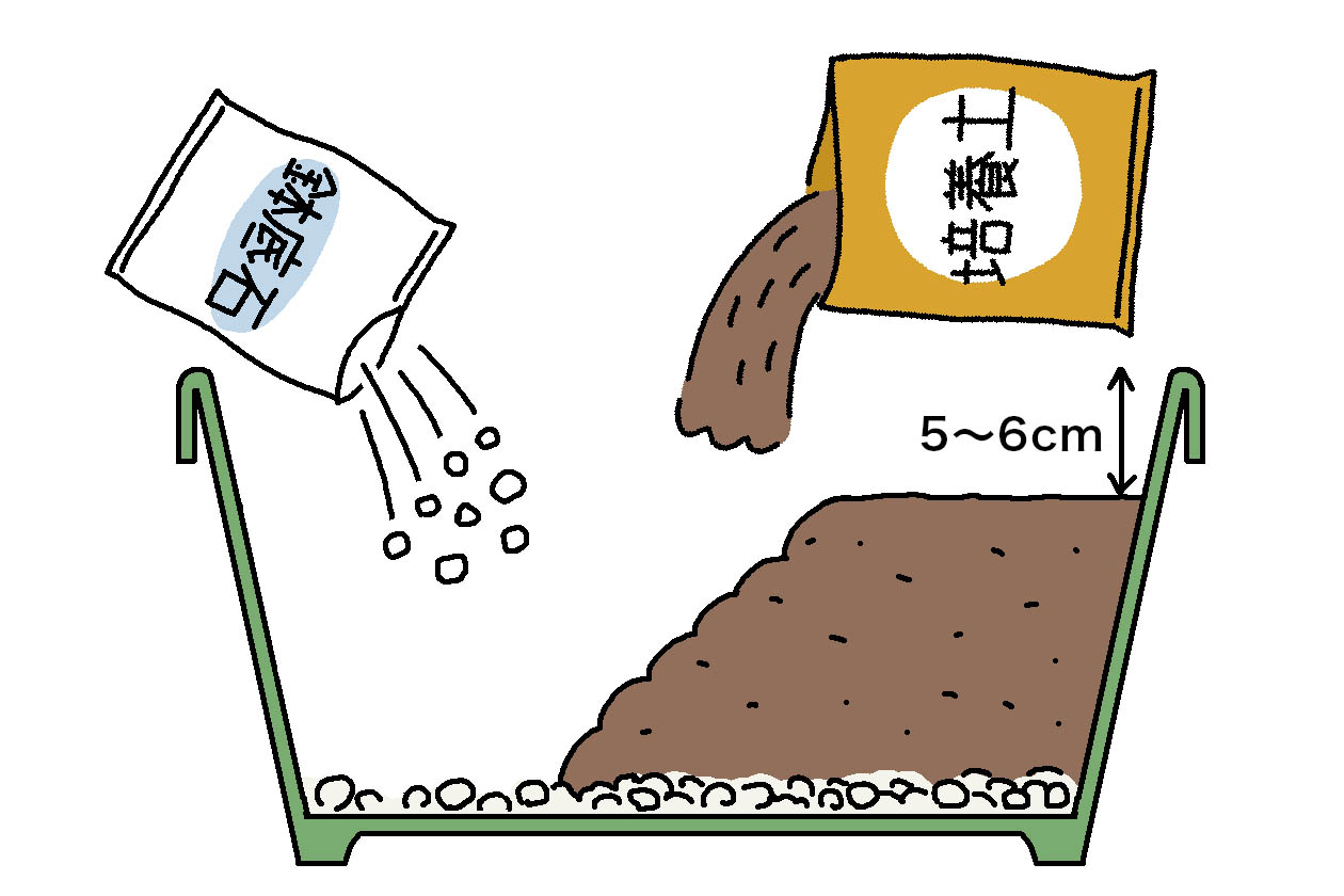バジルの鉢植えは、鉢底が見えなくなる程度に鉢底石を敷き詰め、用土を鉢の縁から5～6cm下まで入れる。野菜用培養土を、苦土石灰と化成肥料を、用土10L当たり各10～20gを入れてよく混ぜ合わせておき、1週間ほど土となじませる。