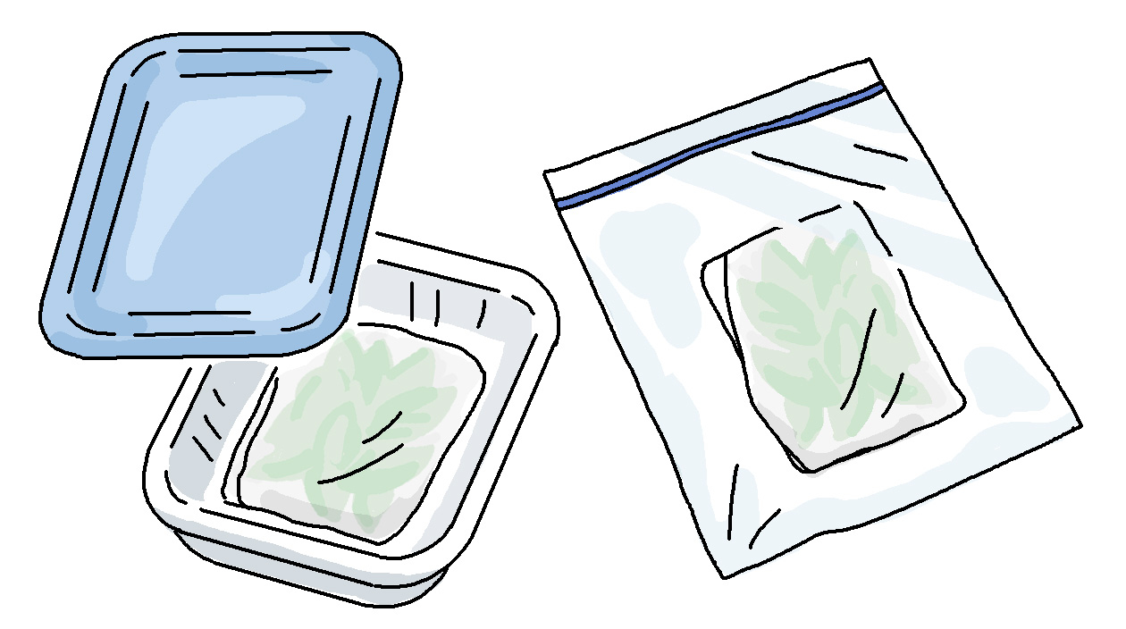 湿らせたキッチンペーパーでバジルの葉を包んだら密閉できる容器か袋に入れて冷蔵庫に保存する。