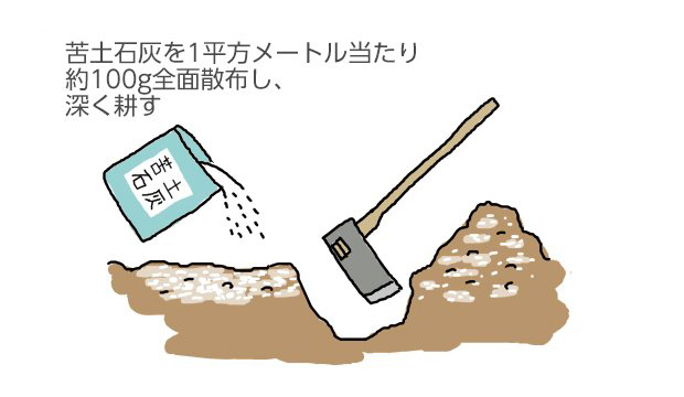 苦土石灰を1平方メートル当たり約100g全面散布し、深く耕す。
