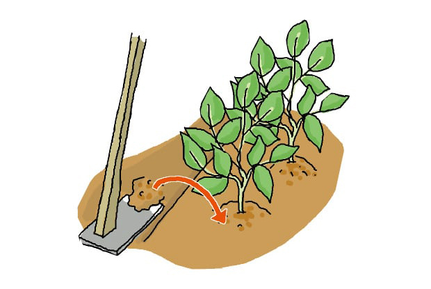 土寄せ方法のイラスト