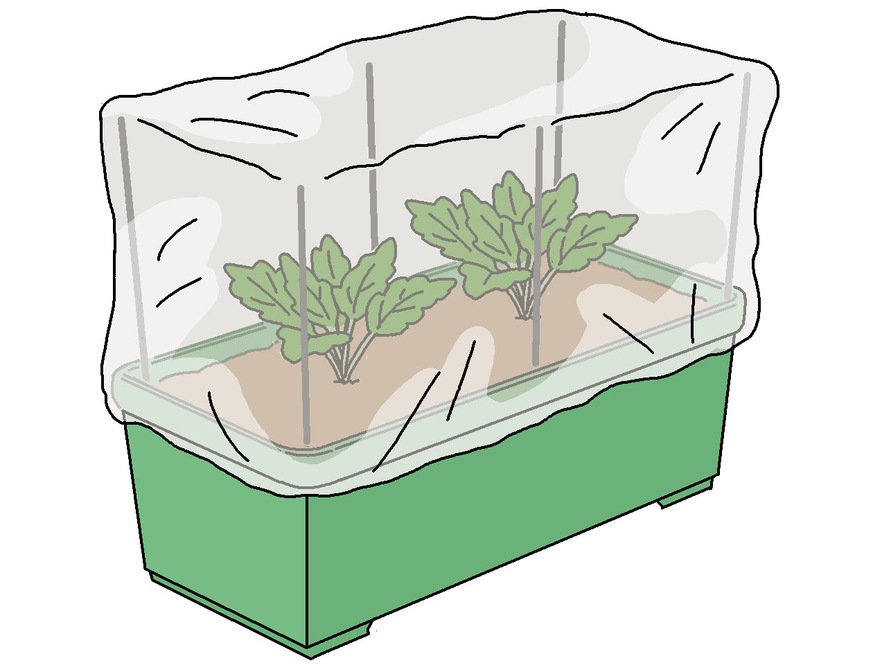 プランターや鉢全体に寒冷紗や防虫ネットなどを張って虫の侵入を防ぐ。