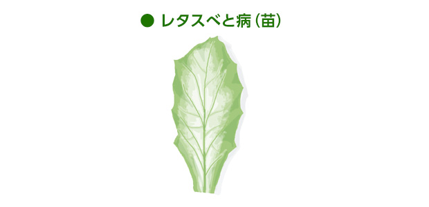 白っぽくなる
