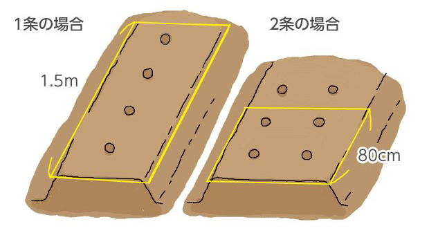 1条の場合：1.5m、2条の場合：80cm。