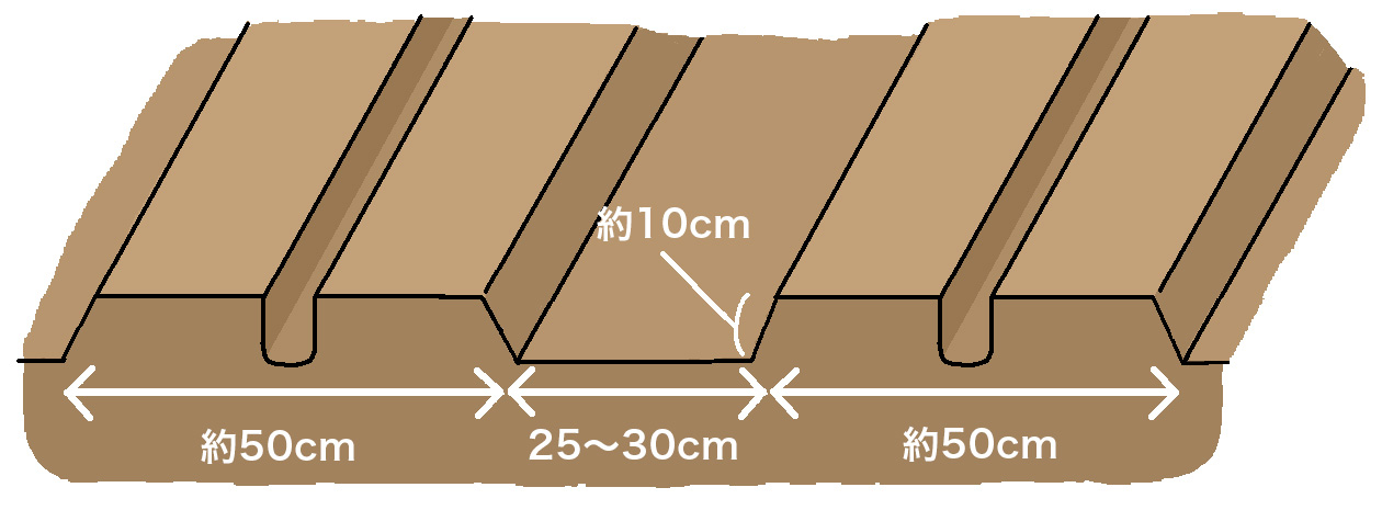 通路25～30cm、畝高約10cm、畝幅50cmの畝の中央に深さ10cmの植え溝を作る