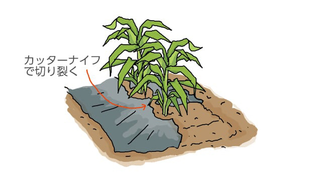 カッターナイフで切り裂く