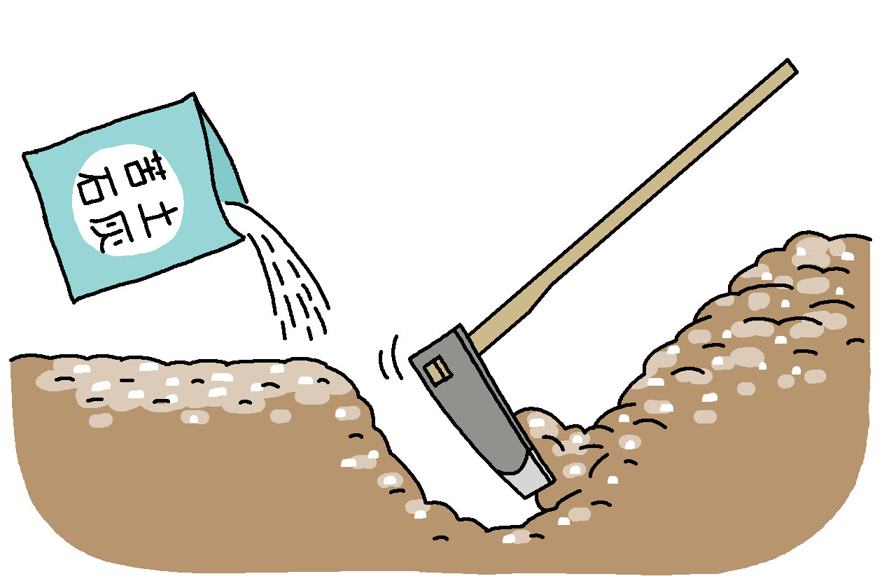 苦土石灰を1平方メートル当たり100g全面に散布して耕す