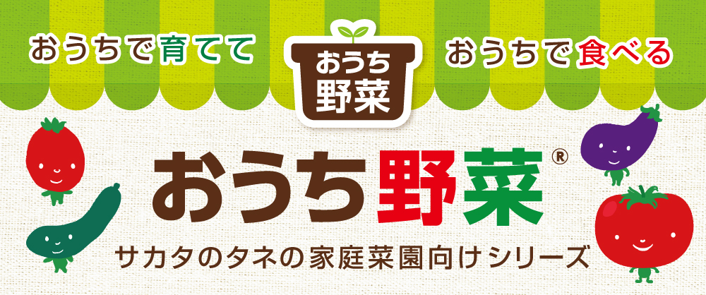 おうちで育てておうちで食べる おうち野菜(R) サカタのタネの家庭菜園向けシリーズ