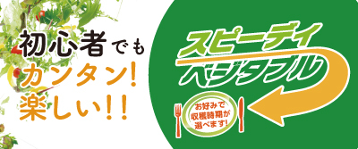 初心者でもカンタン！楽しい！！スピーディベジタブル
