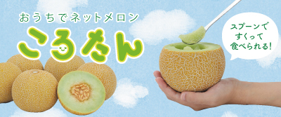 おうちでネットメロン「ころたん」