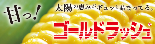 トウモロコシ（スイートコーン）「ゴールドラッシュ(R)」ブランドサイト