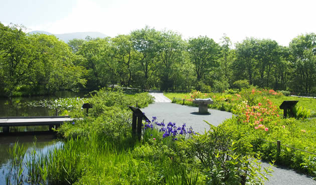 箱根町立箱根湿生花園｜植物園・ガーデン情報｜サカタのタネ