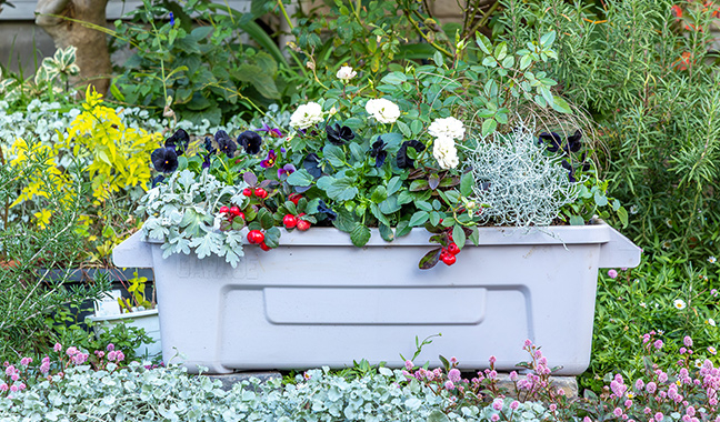 【第1回】 土づくりから始めるこだわりのプランターと花壇