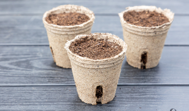 種まきや育苗でも「土」が重要な役割を果たす