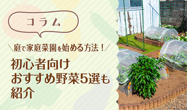 庭で家庭菜園を始める方法！初心者向けおすすめ野菜5選も紹介