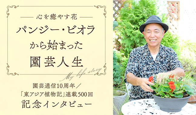 心を癒やす花 パンジー・ビオラから始まった園芸人生　園芸通信10周年/『東アジア植物記』連載500回 記念インタビュー