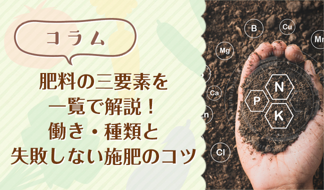 肥料の三要素を一覧で解説！働き・種類と失敗しない施肥のコツ｜コラム
