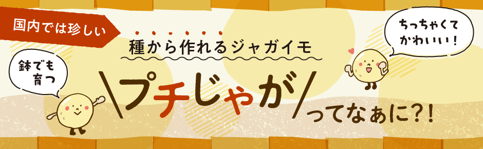 サカタのタネ 家庭菜園・園芸情報サイト 園芸通信