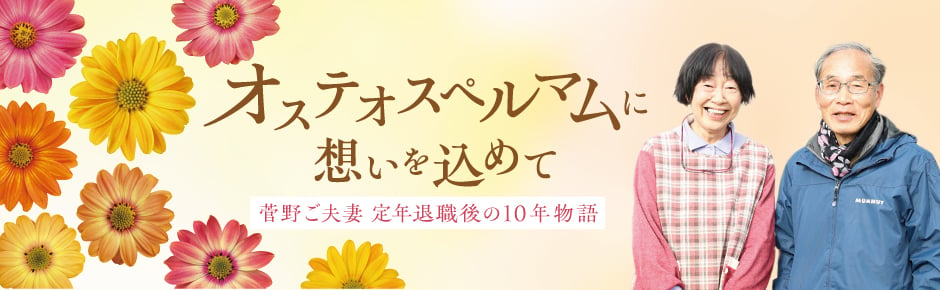 オステオスペルマムに想いを込めて 菅野夫妻 定年退職後の10年物語