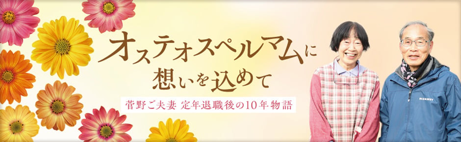 オステオスペルマムに想いを込めて 菅野夫妻 定年退職後の10年物語