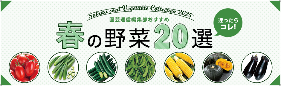 迷ったらコレ！ 園芸通信編集部おすすめ 春の野菜20選