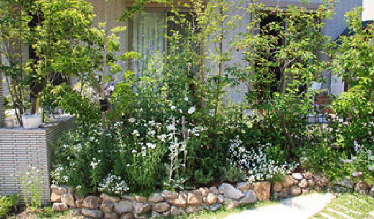 第3回 庭に小さな花壇を作ってみよう デザイン編 ビギナーさんをサポート小さな花壇づくり 読みもの サカタのタネ 家庭菜園 園芸情報サイト 園芸通信