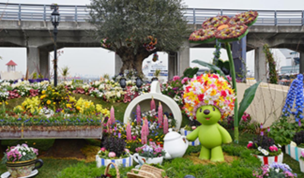 第33回全国都市緑化よこはまフェア 季節の花めぐり 読みもの サカタのタネ 家庭菜園 園芸情報サイト 園芸通信