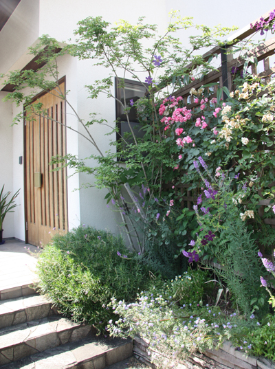 第5回 玄関前に小さな花壇を作ろう ビギナーさんをサポート小さな花壇づくり 読みもの サカタのタネ 家庭菜園 園芸情報サイト 園芸通信