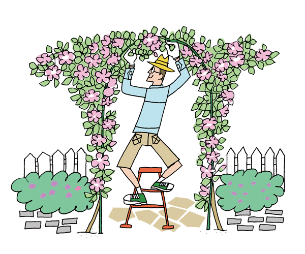 第9回 庭にバラを取り入れよう ビギナーさんをサポート小さな花壇