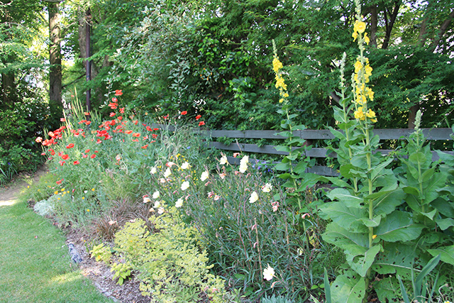 第15回 花色の組み合わせを考えてみよう ビギナーさんをサポート小さな花壇づくり 読みもの サカタのタネ 家庭菜園 園芸情報サイト 園芸通信