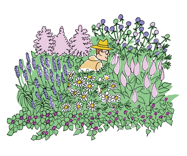 第16回 春花壇の手入れ法と楽しみ方 ビギナーさんをサポート小さな花壇づくり 読みもの サカタのタネ 家庭菜園 園芸情報サイト 園芸通信