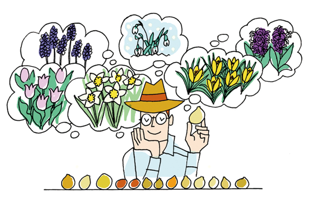 第21回 球根植物を使いこなそう ビギナーさんをサポート小さな花壇づくり 読みもの サカタのタネ 家庭菜園 園芸情報サイト 園芸通信